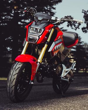 Image post by @wolfridesbikesWRB on Facebook