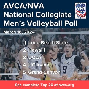 Image post by @avcavolleyball on Instagram