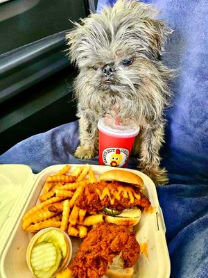 Image post by @daveshotchicken on Instagram