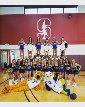 Image post by @fgcu_cheer on Instagram