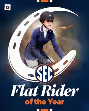 Image post by @auburnequestrian on Instagram