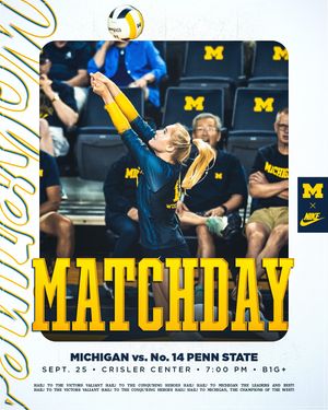 Image post by @umichvball on Instagram