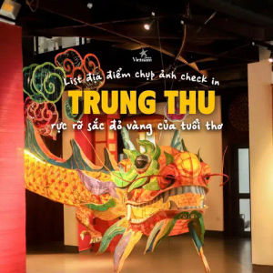 Image post by @checkinvietnam on TikTok