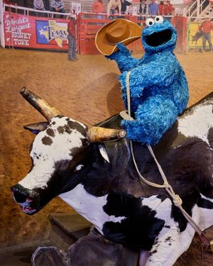 Image post by @cookiemonster on Instagram