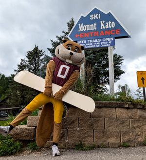 Image post by @goldythegopher on Instagram