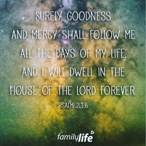 Image post by @familylifenypa on Instagram