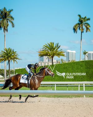 Image post by @pegasusworldcup on Instagram