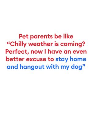 Image post by @petsmart on Instagram