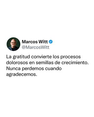 Image post by @marcoswitt on Instagram