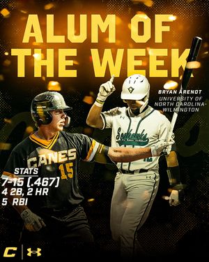 Image post by @thecanesbb on Instagram
