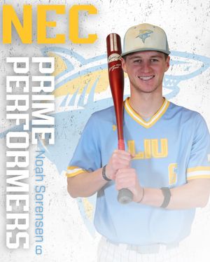 Image post by @liubaseball on Instagram