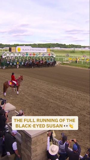 Video post by @nbcsports on TikTok