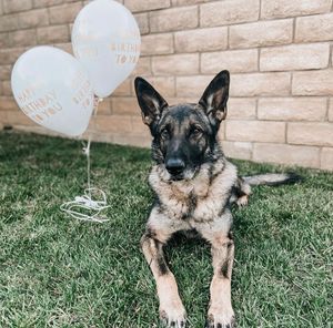Image post by @vcsheriff on Instagram