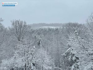 Image post by @foxweather on Instagram