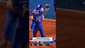 Video post by @cfbonfox on YouTube