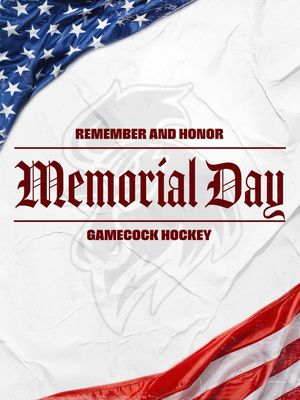 Image post by @cockhockey on Instagram