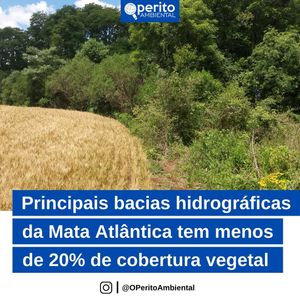 Image post by @operitoambiental on Instagram