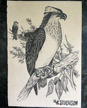 Image post by @kstevenson_art on Instagram