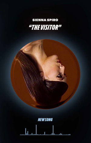 Video post by @spotify on TikTok