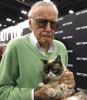 Image post by @therealstanlee on Instagram