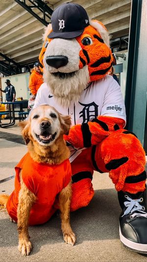 Video post by @PAWSDetroit on Twitter