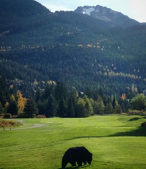 Image post by @joey.coldcuts on Instagram