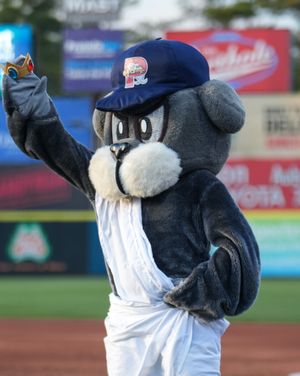 Image post by @portland_seadogs on Instagram