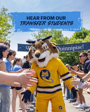 Image post by @quadmissions on Instagram