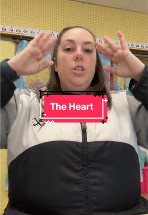 Video post by @teacherchronicles22 on TikTok