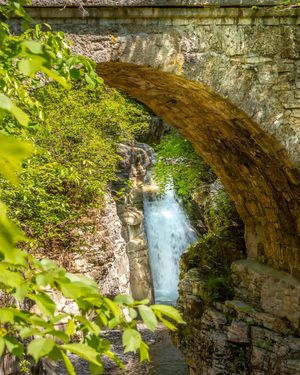 Image post by @cristan.nature.photography on Instagram