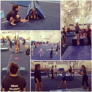 Image post by @stanfordgymnastics on Instagram