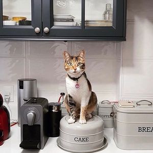 Image post by @lifetimebrands_eu on Instagram