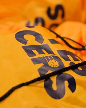 Image post by @pacers on Instagram