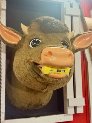 Image post by @stewleonards on Instagram