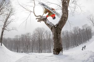 Image post by @carinthiaparks on Instagram