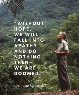 Image post by @green.anarchist on Instagram