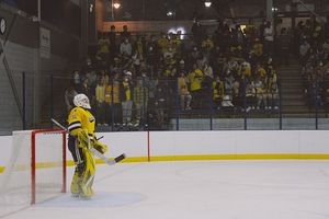 Image post by @kayden_pickles on Instagram