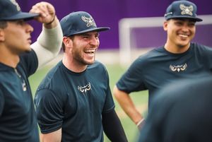 Image post by @OwlzNoCo on Twitter