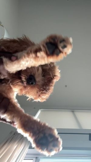 Video post by @tedflixnchill on TikTok
