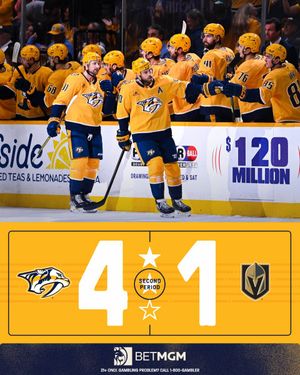 Image post by @PredsNHL on Twitter