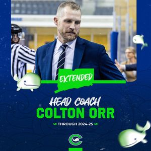 Image post by @connecticutwhale on Instagram