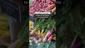 Video post by @catoura on YouTube