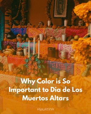 Image post by @hip_latina on Instagram