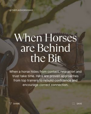 Image post by @theplaidhorsemag on Instagram