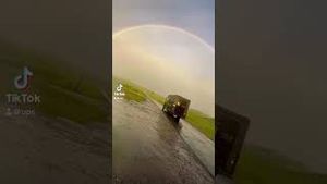 Video post by @ups on YouTube
