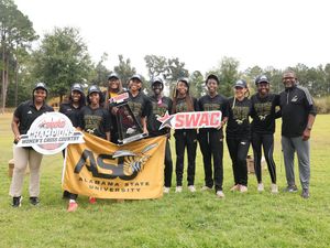 Image post by @theswac on Instagram