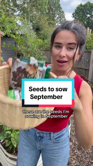 Video post by @gardeningwithlou on TikTok