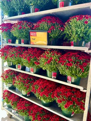 Image post by @Shaws on Facebook