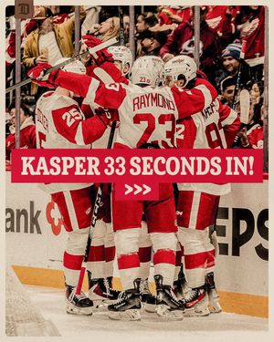 Image post by @detroitredwings on Instagram