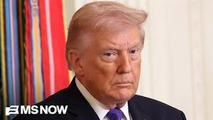 Video post by @msnbc on YouTube
